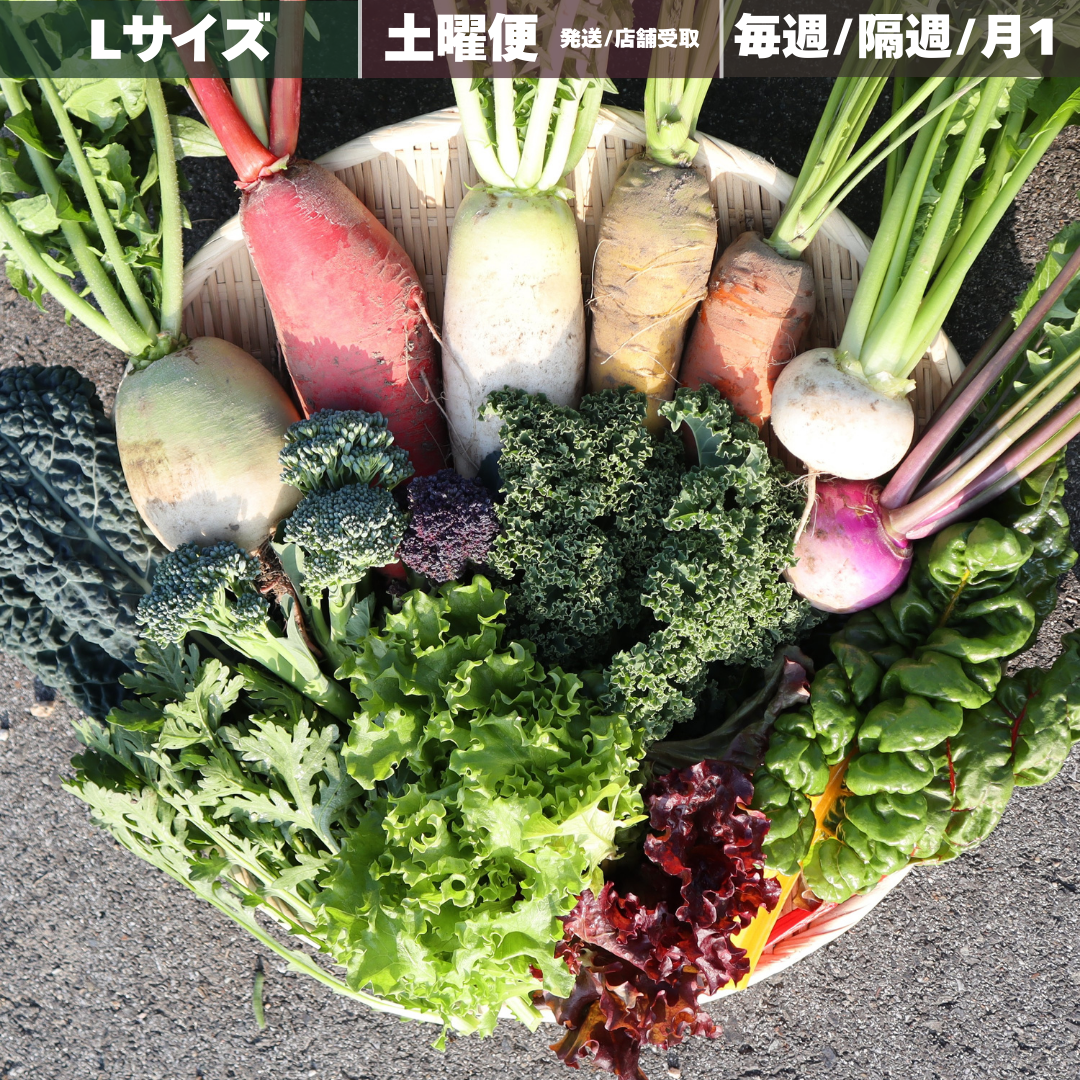 野菜定期便 L / 土曜宅配or店舗引取