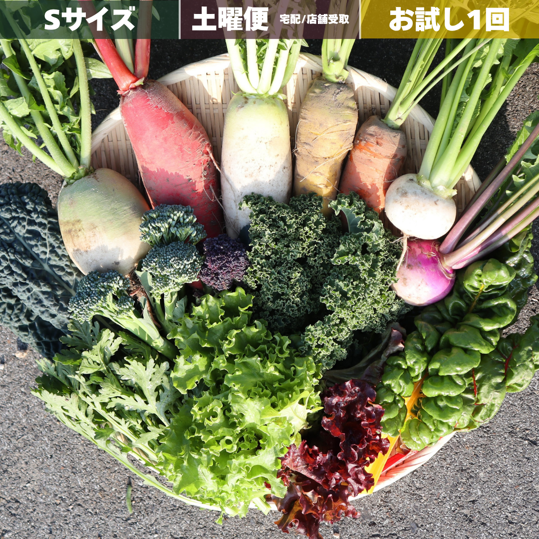 【お試し1回】野菜セット S / 土曜宅配or店舗引取