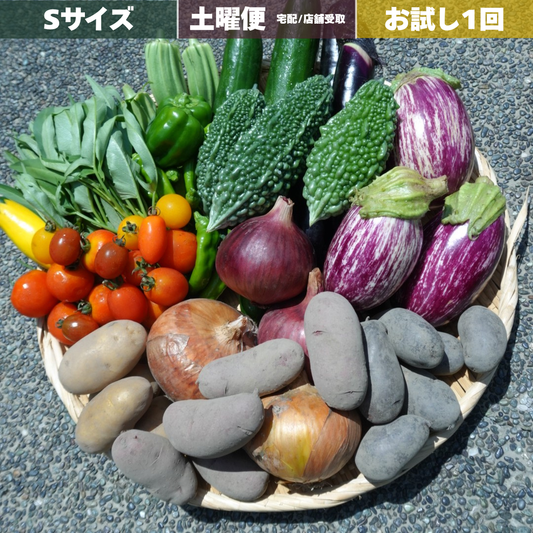 【お試し1回】野菜セット S / 土曜宅配or店舗引取