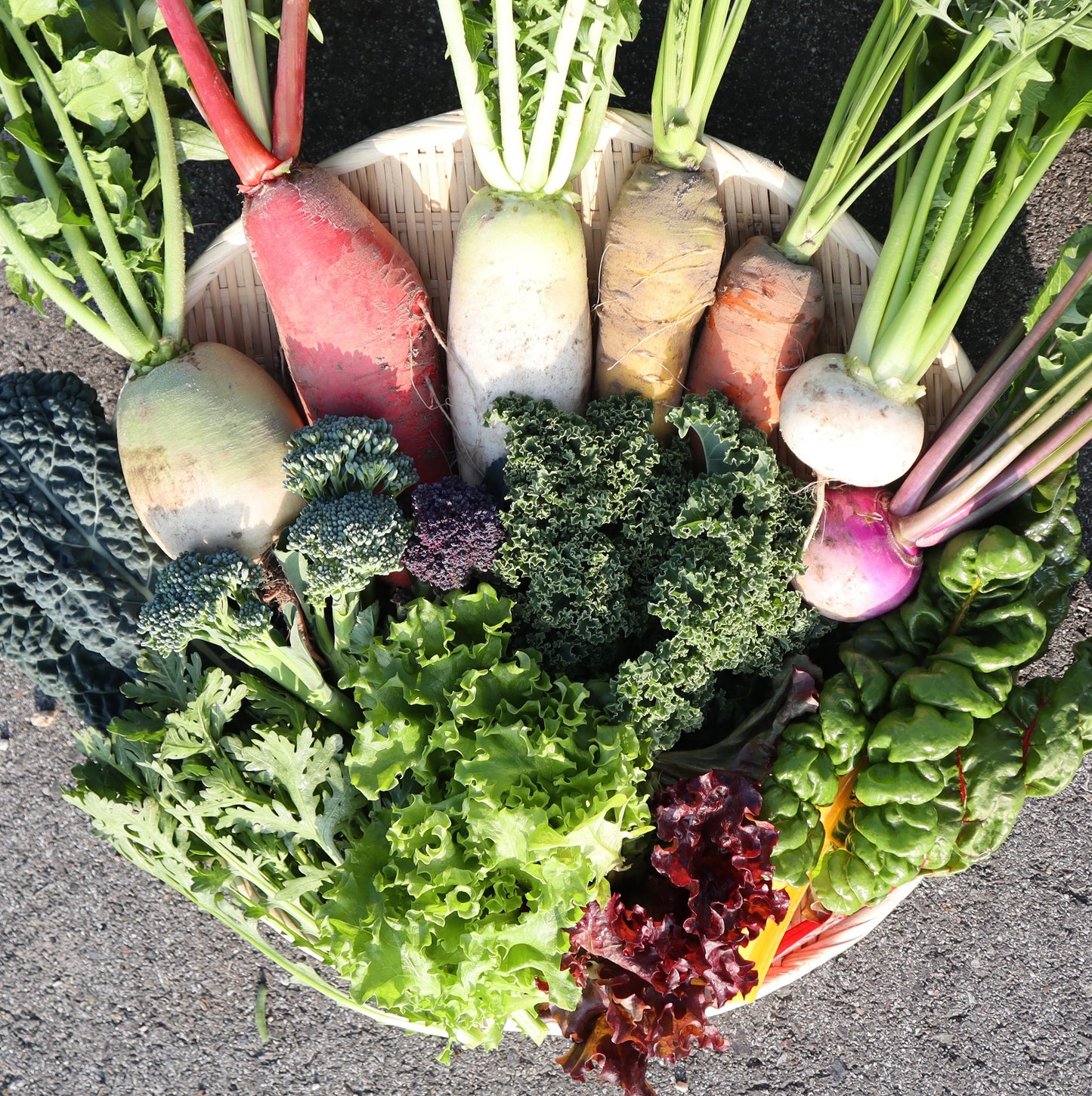 野菜定期便 M / 土曜発送orお渡し